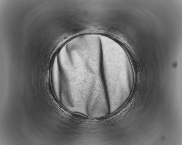 X0000098201220200805151221