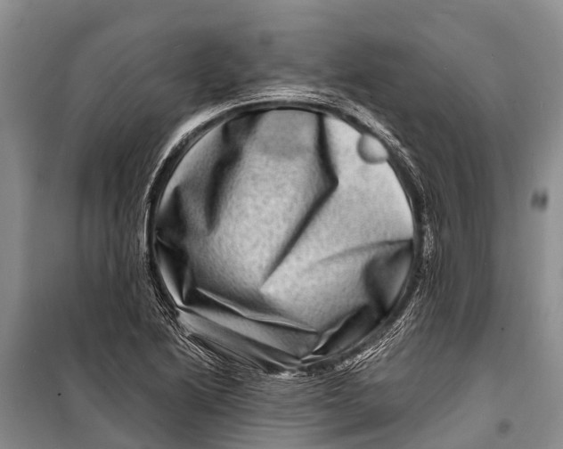 X0000098201222200805151221