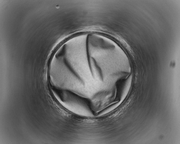 X0000098201224200805151221