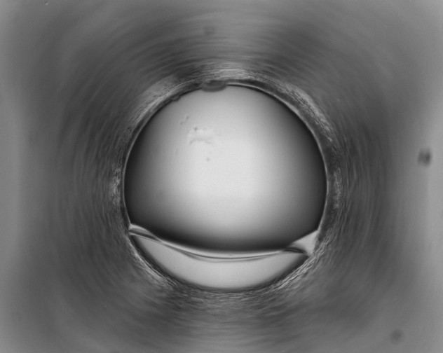 X0000098201225200805151221