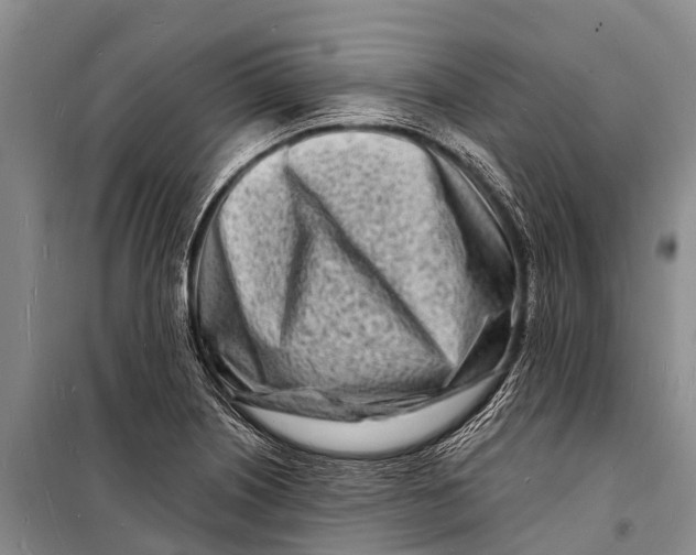 X0000098201226200805151221