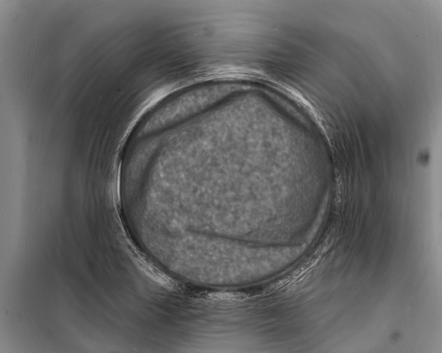 X0000098201227200805151221