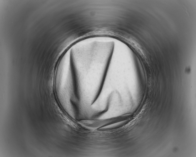 X0000098201228200805151221