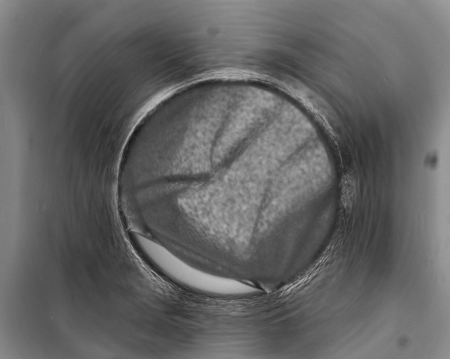 X0000098201229200805151221