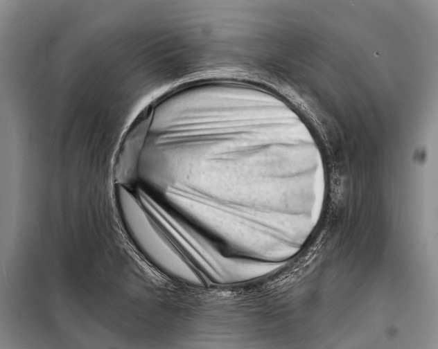 X0000098201230200805151221