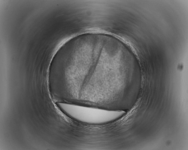 X0000098201231200805151221