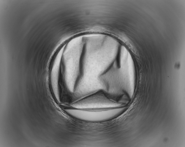 X0000098201232200805151221
