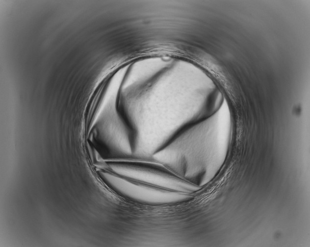 X0000098201234200805151221