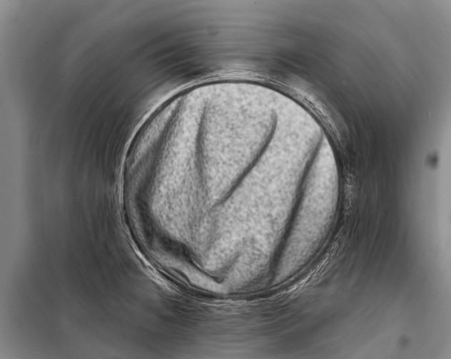 X0000098201236200805151221