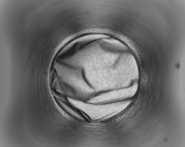 X0000098201237200805151221