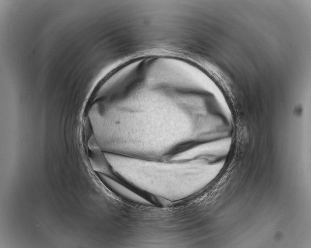 X0000098201238200805151221