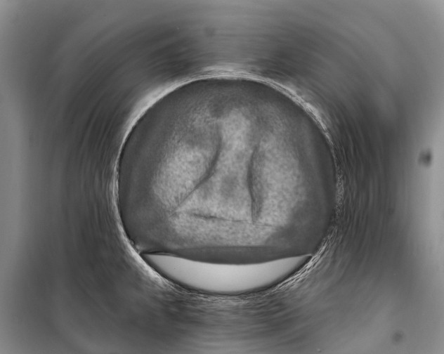 X0000098201239200805151221