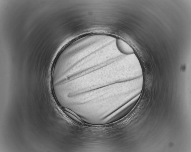 X0000098201240200805151221