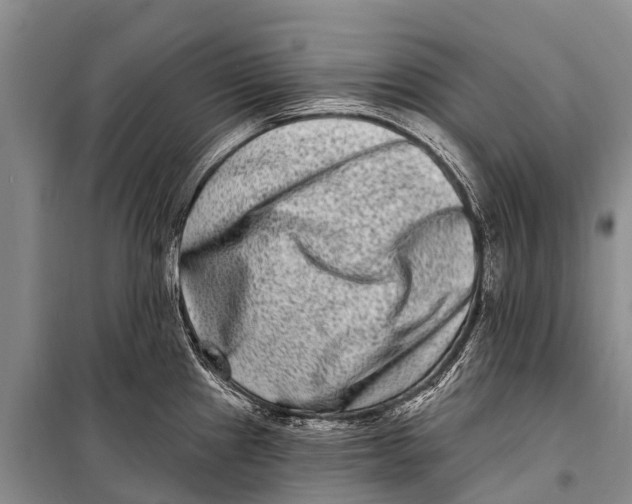 X0000098201241200805151221