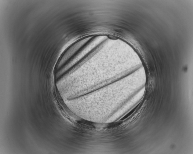 X0000098201242200805151221