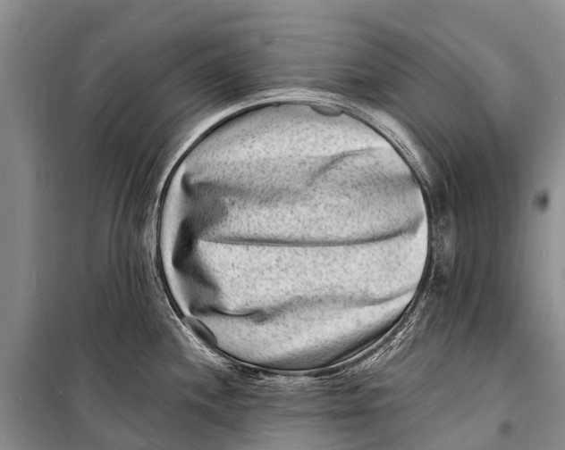 X0000098201244200805151221