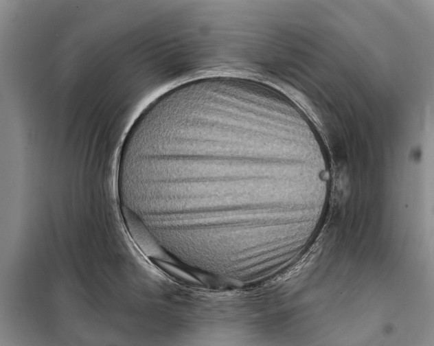 X0000098201246200805151221