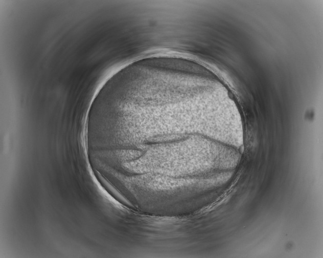 X0000098201247200805151221