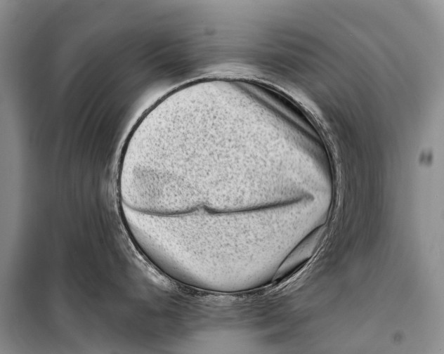 X0000098201248200805151221