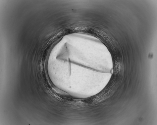 X0000098201250200805151220
