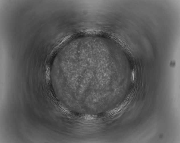 X0000098201251200805151220
