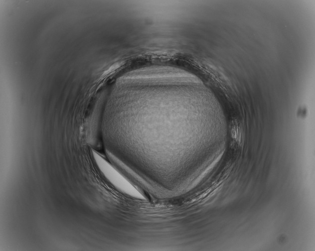 X0000098201252200805151220