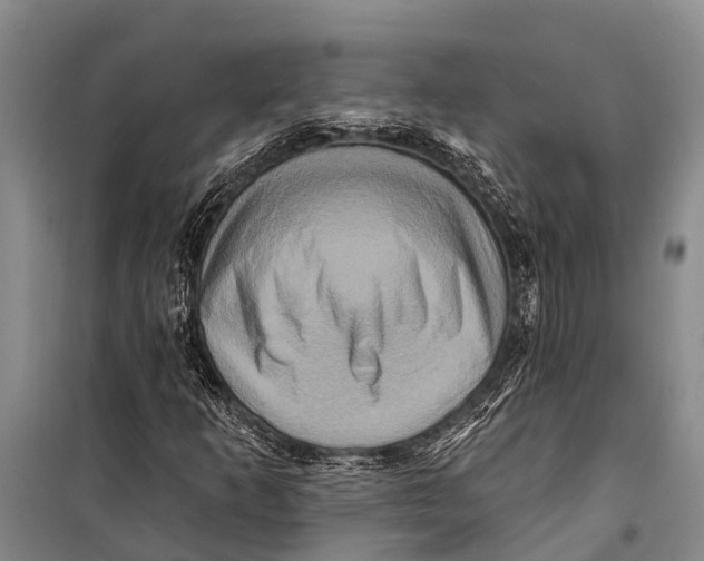 X0000098201253200805151220
