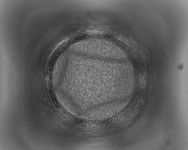 X0000098201254200805151220