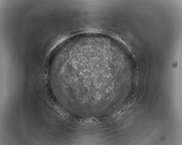 X0000098201255200805151220