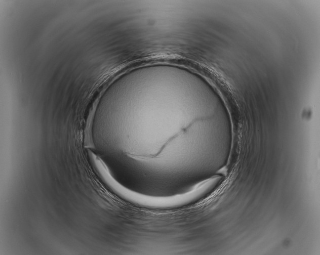 X0000098201257200805151220