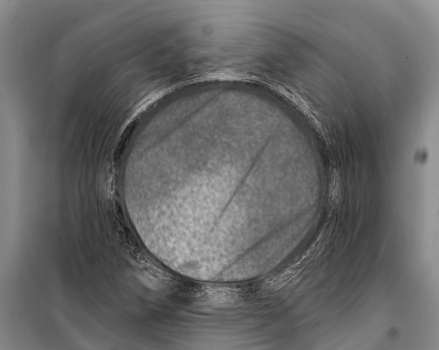 X0000098201258200805151220