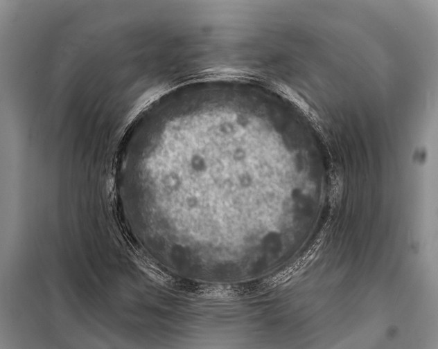 X0000098201259200805151220