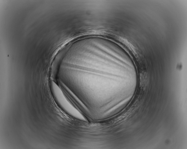 X0000098201260200805151220