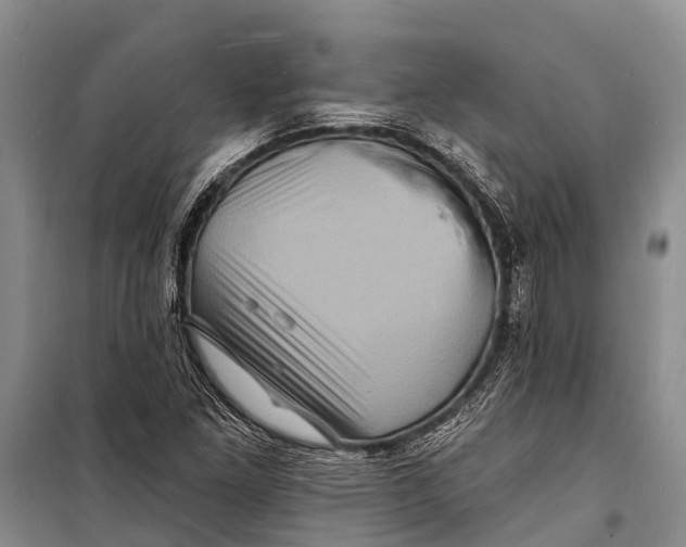 X0000098201261200805151220