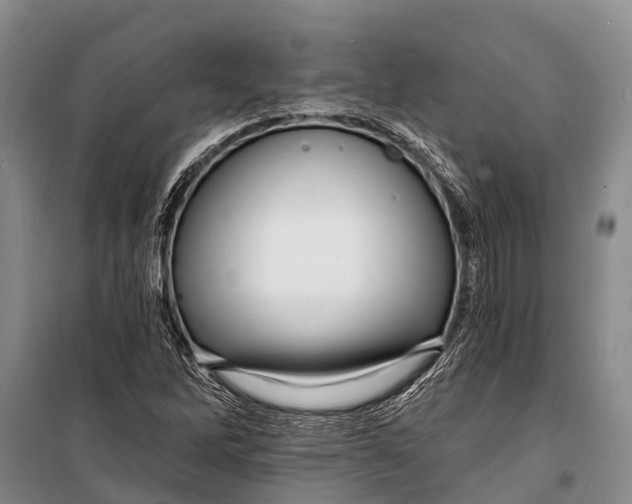 X0000098201262200805151220