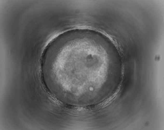 X0000098201263200805151220