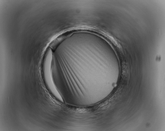 X0000098201264200805151220