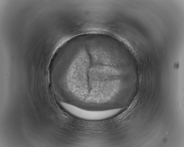 X0000098201267200805151220