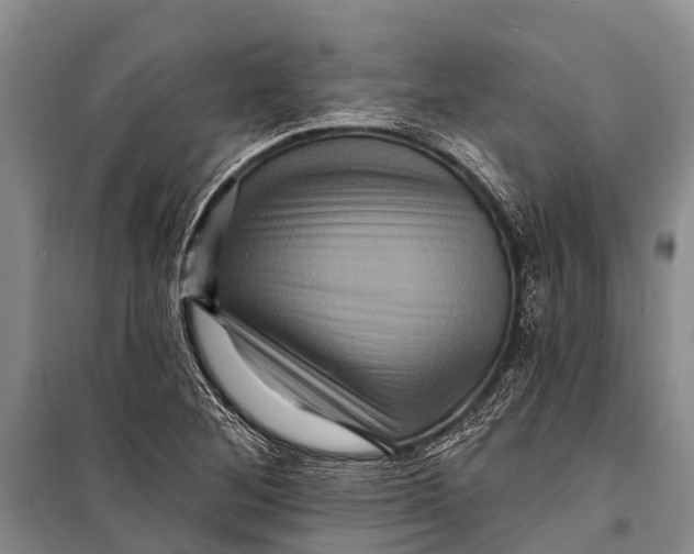 X0000098201268200805151220