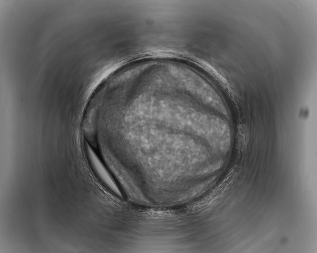 X0000098201269200805151220