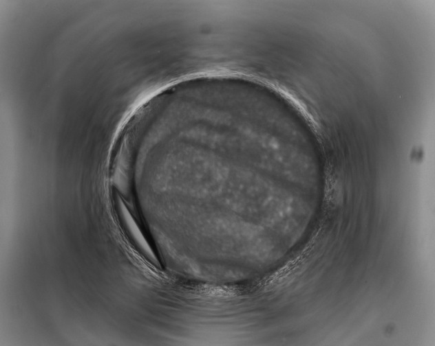 X0000098201270200805151220