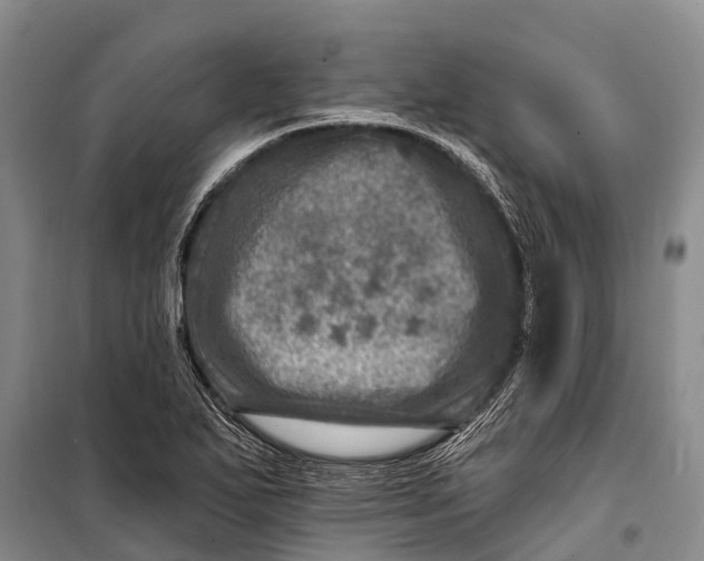 X0000098201271200805151220