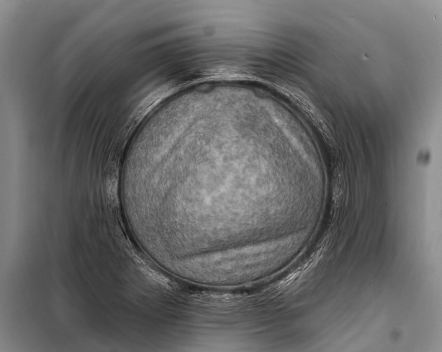 X0000098201273200805151220