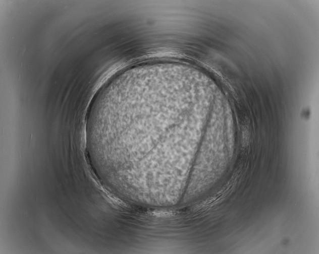 X0000098201274200805151220