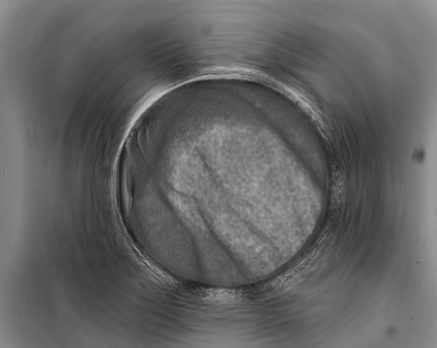 X0000098201275200805151220