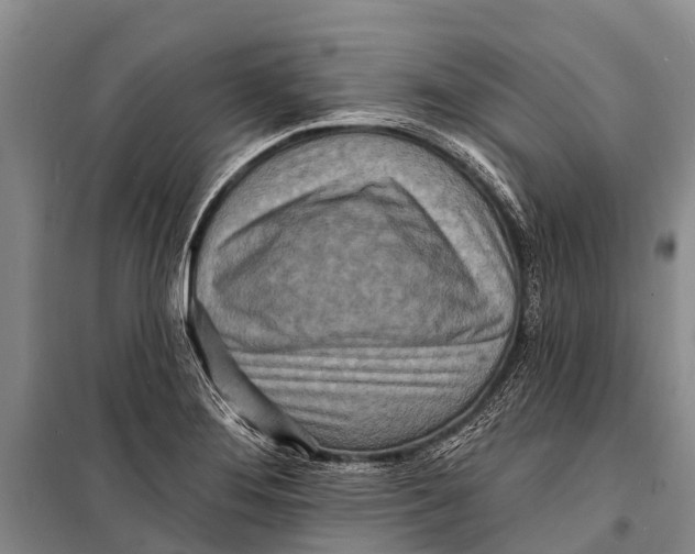 X0000098201276200805151220