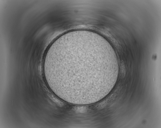 X0000098201278200805151220