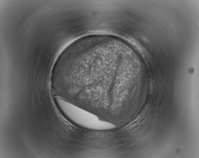X0000098201279200805151220