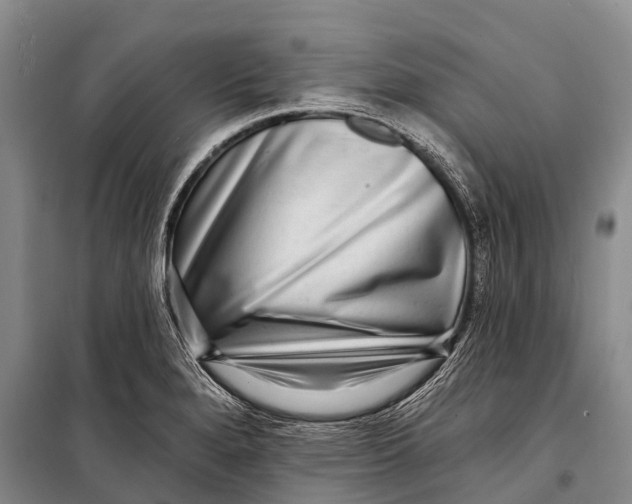 X0000098201280200805151220