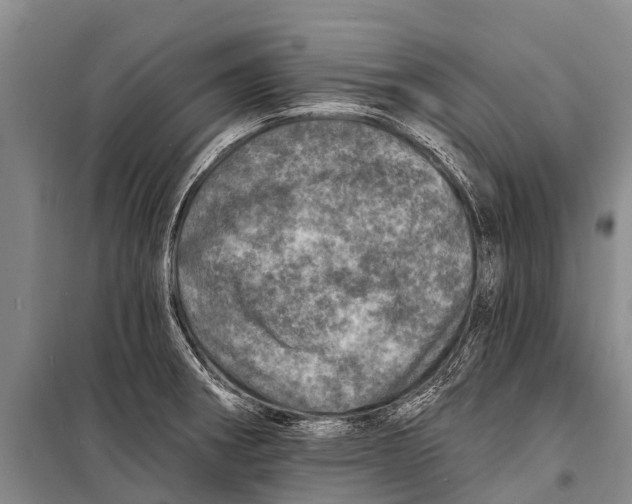 X0000098201282200805151220